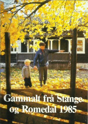 Gammalt frå Stange og Romedal 1985