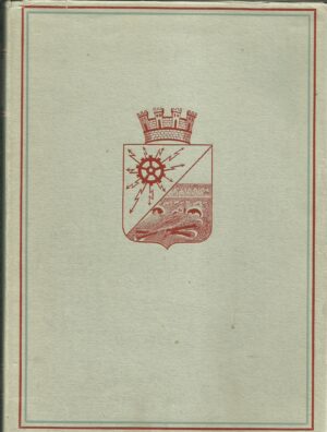 Hønefoss. Tredje bind. Kirke og skole - sentrum og service 1800 -1963
