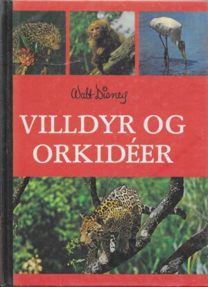Walt Disney: Villdyr og orkidéer