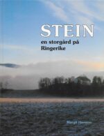 Stein   -   en storgård på Ringerike