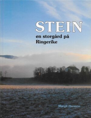 Stein   -   en storgård på Ringerike