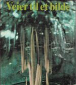 Veier til et bilde