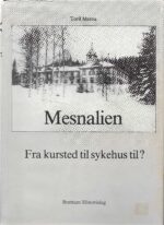 Mesnalien. Fra kurstad til sykehus til?