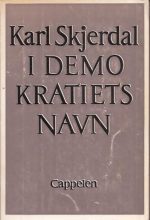 I demokratiets navn