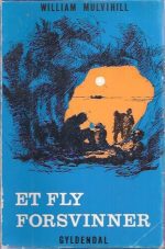 Et fly forsvinner