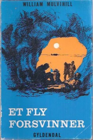 Et fly forsvinner