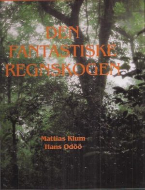 Den fantastiske regnskogen.