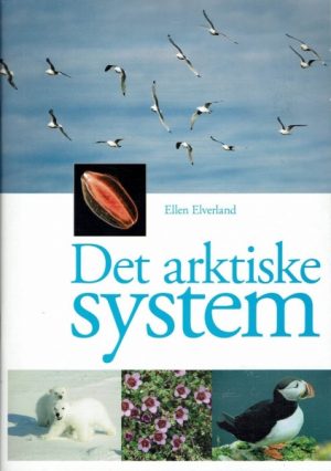 Det arktiske system