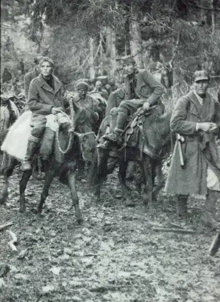 Partisaner og gerilja ( annen verdenskrig )