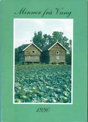 Minner frå Vang 1990
