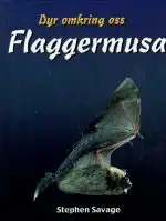 Flaggermusa (dyr omkring oss)