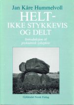 Helt- ikke stykkevis og delt. Introduksjon til psykiatrisk sykepleie