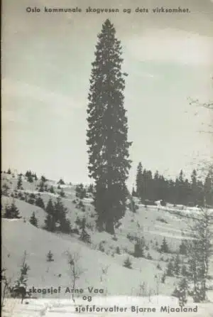 Oslo kommunale skogvesen og dets virksomhet