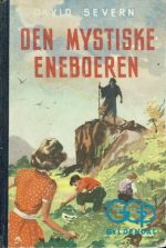 Den mystiske eneboeren