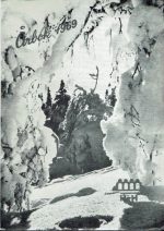 Hamar og Hedmark turistforening årbok 1963-1967. Publikasjon 27