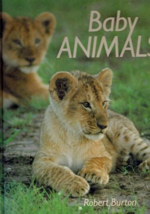 Baby animals