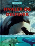 Hvaler og delfiner ( lær mer ! )