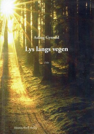 Lys langs vegen