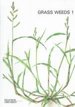 Grass weeds bind 1( Weeds of the subfamily Panicoideae) - 2 (Weeds of the subfamilies Chlorididoideae)