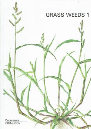 Grass weeds bind 1( Weeds of the subfamily Panicoideae) - 2 (Weeds of the subfamilies Chlorididoideae)