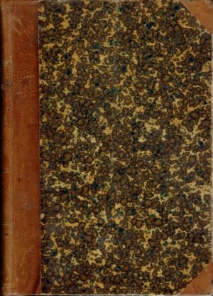 Kringsjaa. Bind XXIII Januar-juli 1904