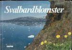 Svalbardblomster