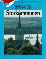 Storkommunen. Ringsakboka VI