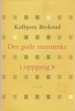 Det gode menneske i oppgang B