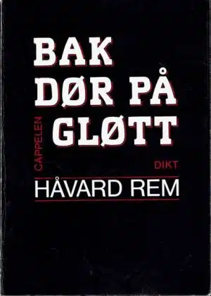 Bak dør på gløtt. Dikt