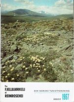 DNTs årbok 1967. Emne: Fra fjellbjørkeli til reinrosehei