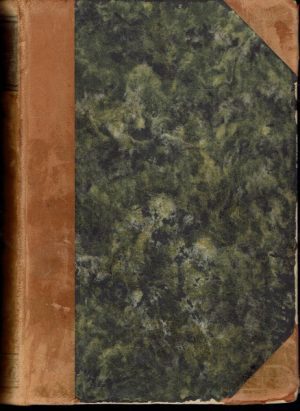 Tysk-norsk (dansk) ordbog/Deutsch-Norwegisches (Dänisches) Wörterbuch