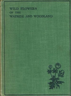 Wild Flowers of the Wayside and Woodland