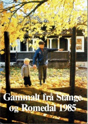 Gammalt frå Stange og Romedal 1985