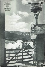 Hamar og Hedmark Turistforening. Årbok 1950