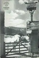 Hamar og Hedmark Turistforening. Årbok 1950