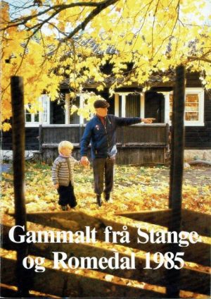 Gammalt frå Stange og Romedal 1985