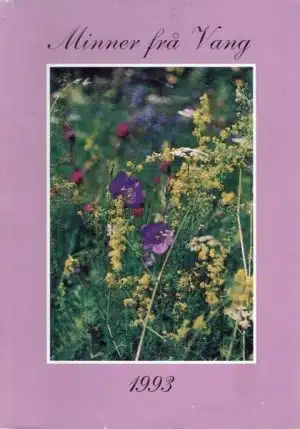 Minner frå Vang 1993