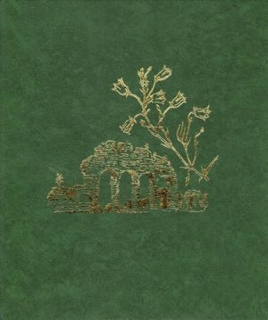 Hamarkrøniken med illustrasjoner av Anne Lise Knoff