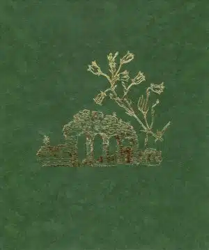 Hamarkrøniken med illustrasjoner av Anne Lise Knoff