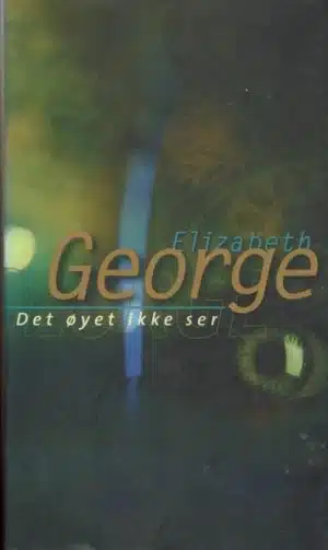 Det øyet ikke ser