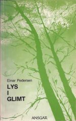 Lys i glimt