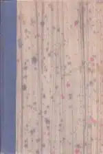 Skinnende skygger. Noveller