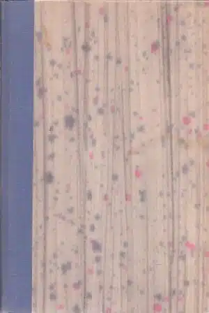 Skinnende skygger. Noveller