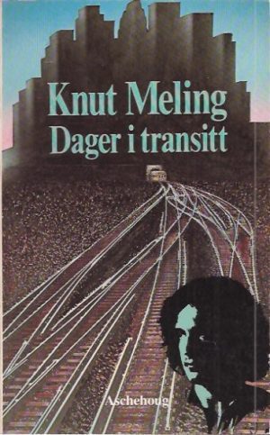 Dager i transitt