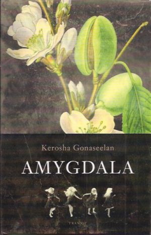 Amygdala. Roman