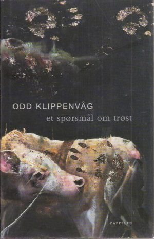 Et spørsmål om trøst