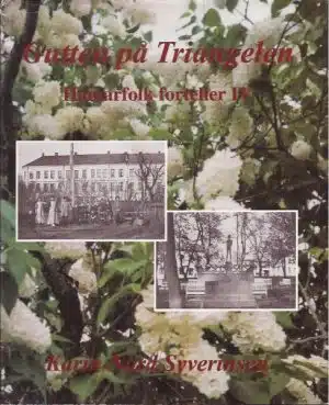 Gutten på Triangelen. Hamarfolk forteller IV