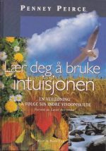 Lær deg å bruke intuisjonen. En veiledning i å følge sin indre visdomskilde