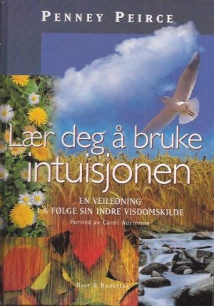 Lær deg å bruke intuisjonen. En veiledning i å følge sin indre visdomskilde