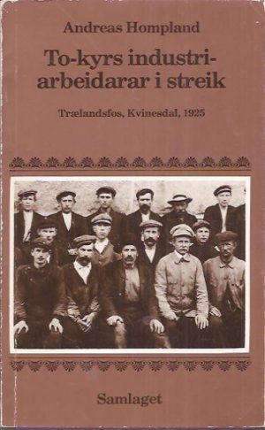 To-kyrs industriarbeidarar i streik. Trælandsfos, Kvinesdal. 1925